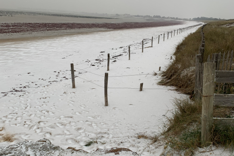 Plage